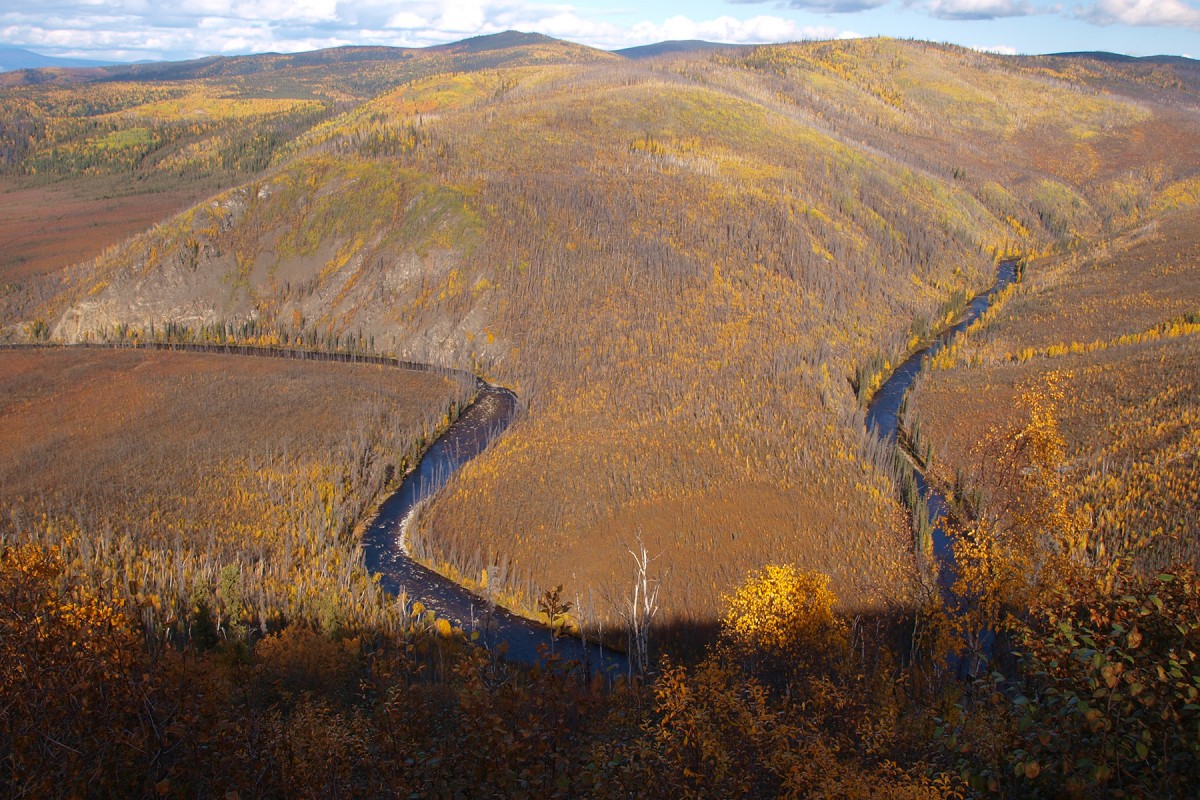 Forty Mile River